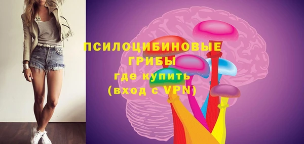 соль ск Карпинск