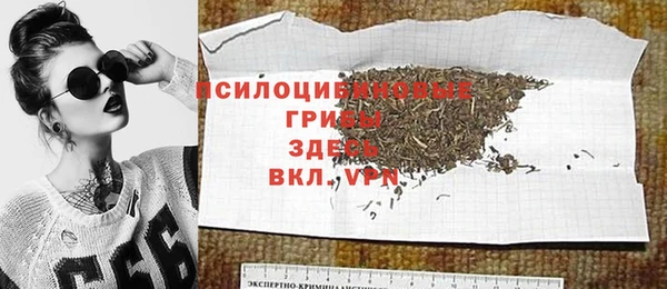 соль ск Карпинск