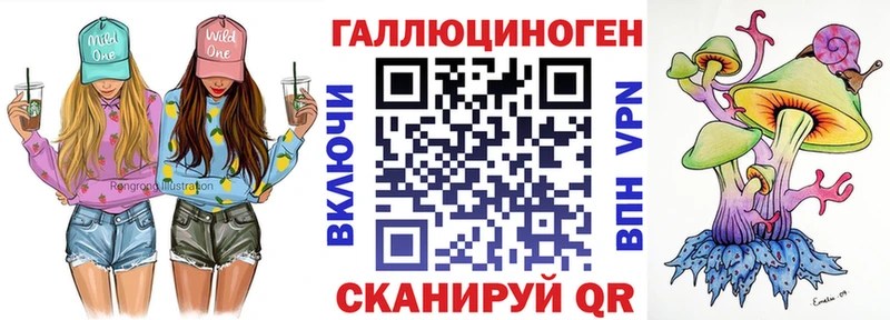 хочу   Яхрома  Галлюциногенные грибы Psilocybine cubensis 